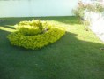 /album/galeria-de-fotos/jardins-069-jpg/