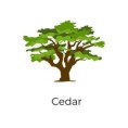 /album/galeria-de-fotos/2687616-cedro-arvore-design-vetor-jpg/